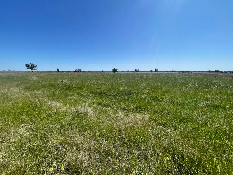 Main view of Homely rural property listing, 251L Mogriguy Road, Dubbo NSW 2830