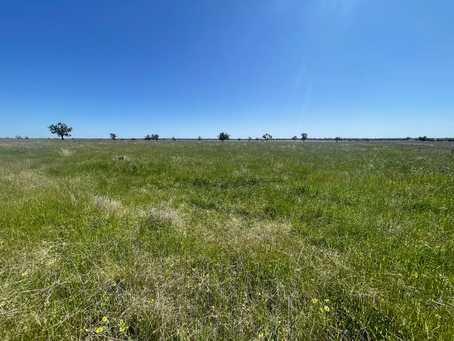 Main view of Homely rural property listing, 251L Mogriguy Road, Dubbo NSW 2830