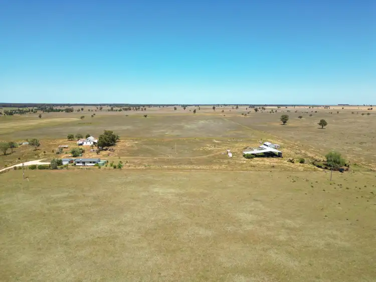 Seventh view of Homely rural property listing, 251L Mogriguy Road, Dubbo NSW 2830