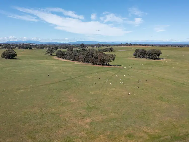 Sixth view of Homely rural property listing, 00 Shannon Road, Byawatha VIC 3678