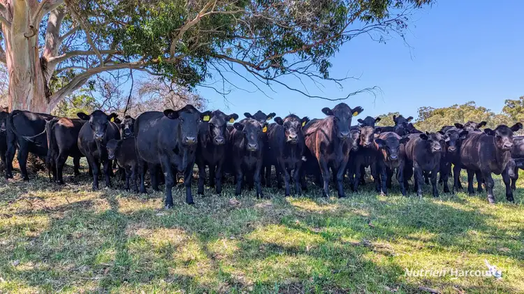 Second view of Homely rural property listing, 897 Brand Highway, Muchea WA 6501