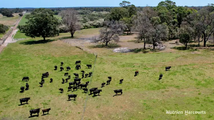 Fourth view of Homely rural property listing, 897 Brand Highway, Muchea WA 6501