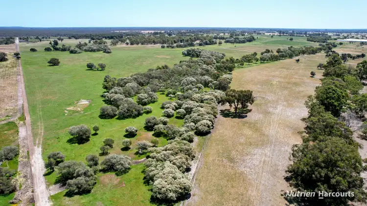 Fifth view of Homely rural property listing, 897 Brand Highway, Muchea WA 6501