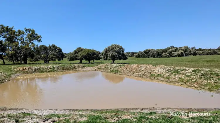 Seventh view of Homely rural property listing, 897 Brand Highway, Muchea WA 6501