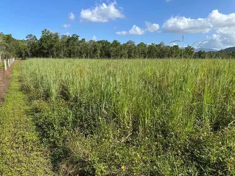 Sixth view of Homely rural property listing, Lot 177 Bruce Highway, Bilyana QLD 4854