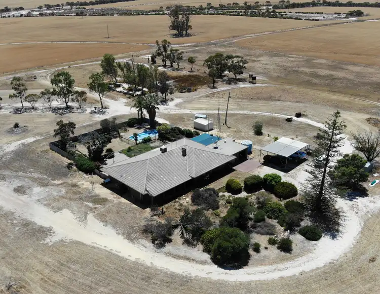 Main view of Homely house listing, 2655 Huandanning Road, Trayning WA 6488