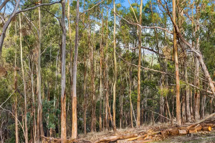 Seventh view of Homely rural property listing, Lot 4 Old Brinktop Road, Richmond TAS 7025
