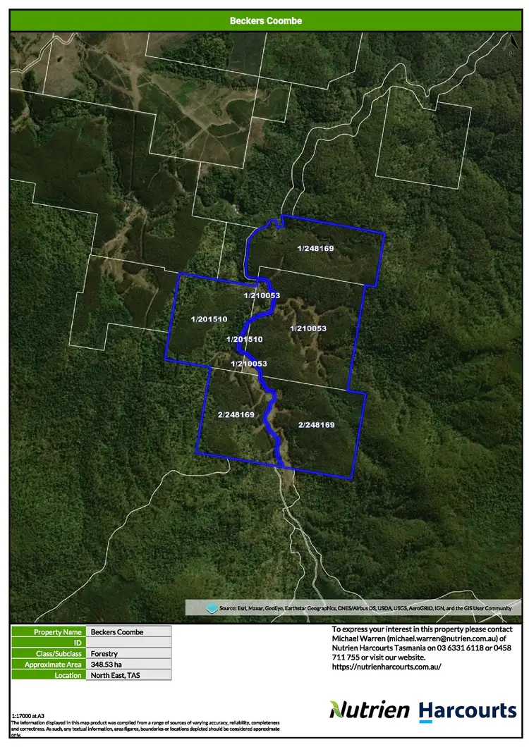 Second view of Homely rural property listing, . St Columba Falls Road, Pyengana TAS 7216