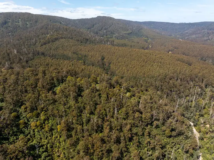 Third view of Homely rural property listing, . St Columba Falls Road, Pyengana TAS 7216