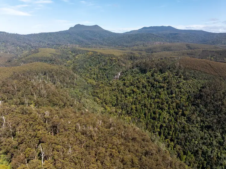 Fourth view of Homely rural property listing, . St Columba Falls Road, Pyengana TAS 7216