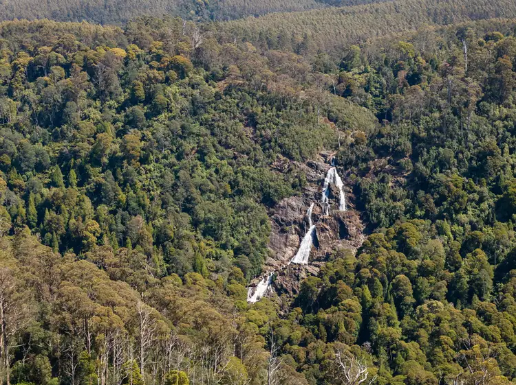 Fifth view of Homely rural property listing, . St Columba Falls Road, Pyengana TAS 7216