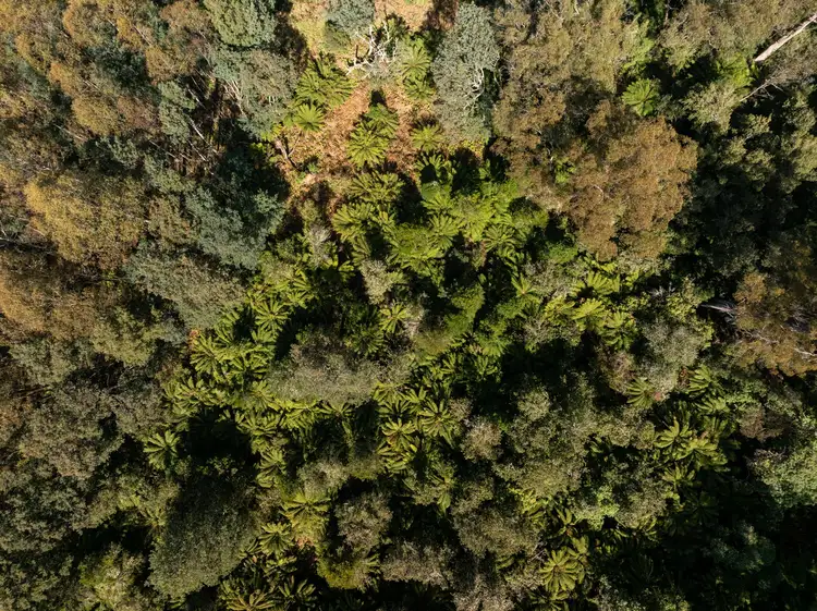 Sixth view of Homely rural property listing, . St Columba Falls Road, Pyengana TAS 7216
