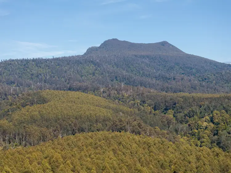 Seventh view of Homely rural property listing, . St Columba Falls Road, Pyengana TAS 7216