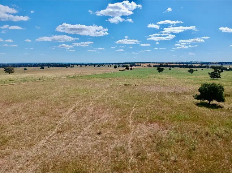 1032 Manna Forest Rd, Burcher NSW 2671
