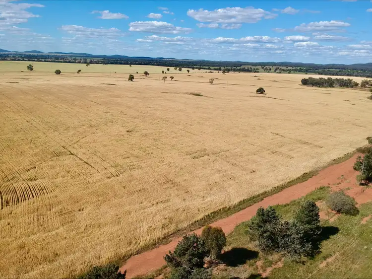 Second view of Homely rural property listing, 1032 Manna Forest Rd, Burcher NSW 2671