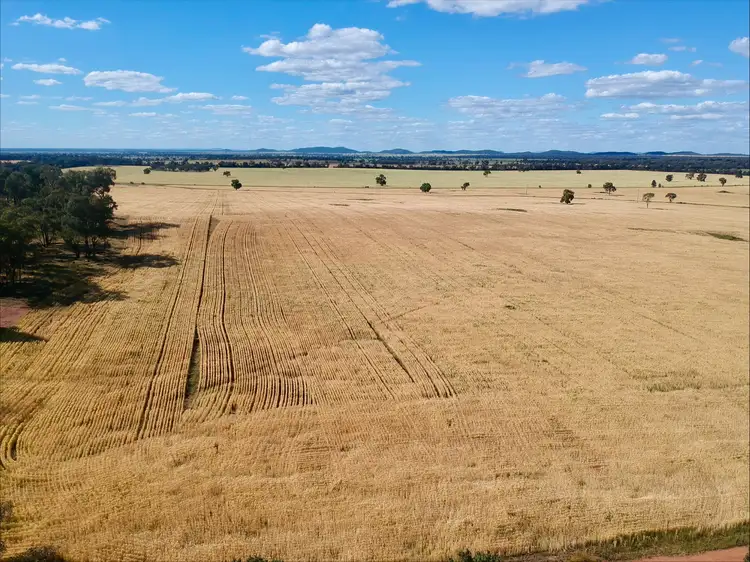 Fourth view of Homely rural property listing, 1032 Manna Forest Rd, Burcher NSW 2671