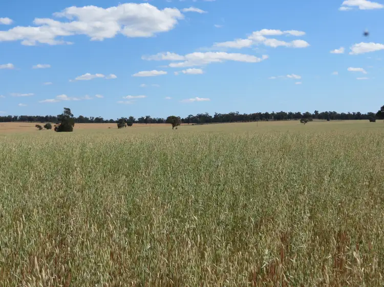 Sixth view of Homely rural property listing, 1032 Manna Forest Rd, Burcher NSW 2671