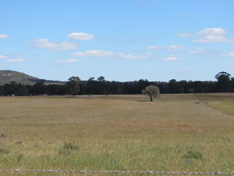 Seventh view of Homely rural property listing, 1032 Manna Forest Rd, Burcher NSW 2671