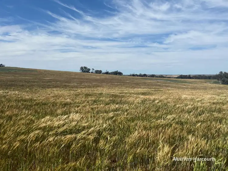 . Wallaby Downs