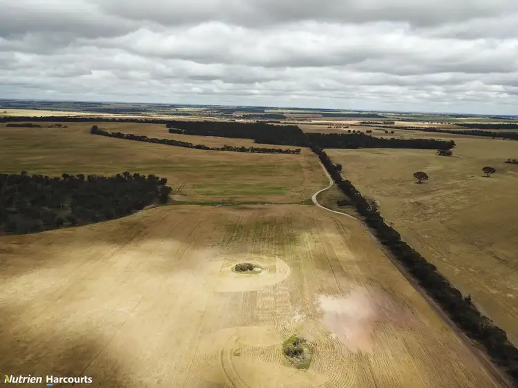 Sixth view of Homely rural property listing, . Wallaby Downs, Nyabing WA 6341