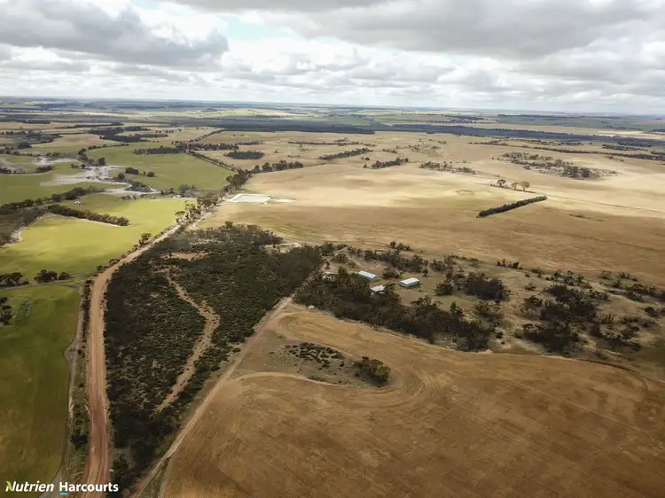 Seventh view of Homely rural property listing, . Wallaby Downs, Nyabing WA 6341