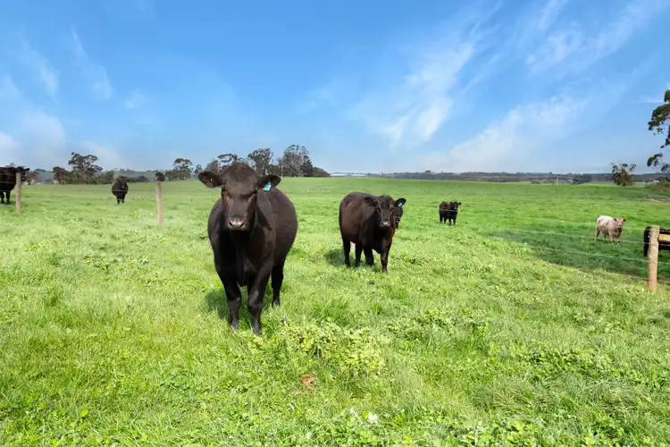 Second view of Homely rural property listing, 245 Gwyther Siding Road, Leongatha South VIC 3953