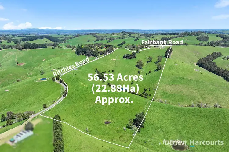 Second view of Homely rural property listing, 385 Fairbank Road, Arawata VIC 3951