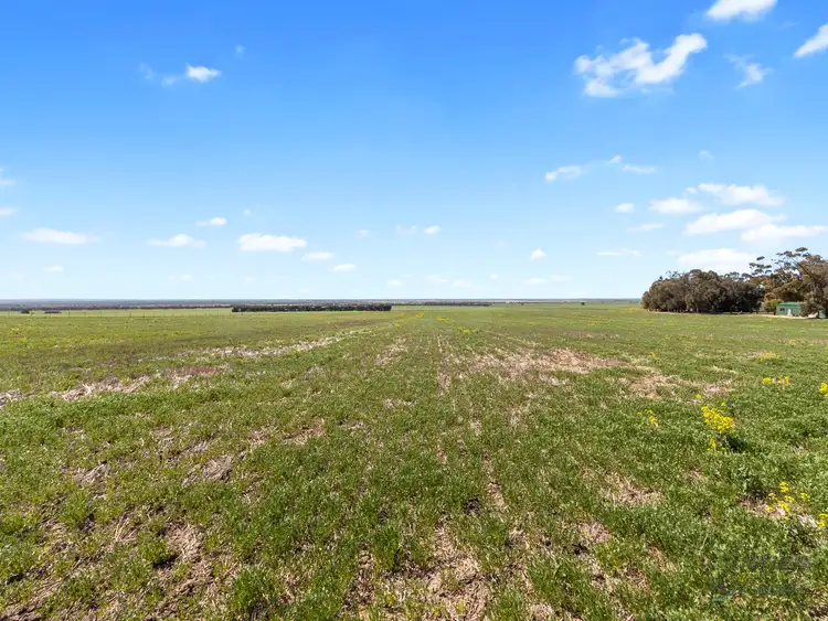 Fourth view of Homely rural property listing, Lot 12 Main Street, Warooka SA 5577