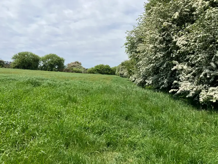 Second view of Homely rural property listing, 849 Oaks Road, Carrick TAS 7291
