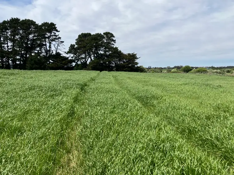 Third view of Homely rural property listing, 849 Oaks Road, Carrick TAS 7291