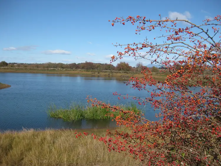 Fifth view of Homely rural property listing, 849 Oaks Road, Carrick TAS 7291