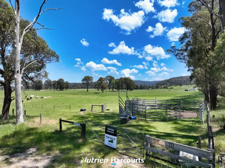Main view of Homely rural property listing, 111 Old Walhalla Road, Toongabbie VIC 3856