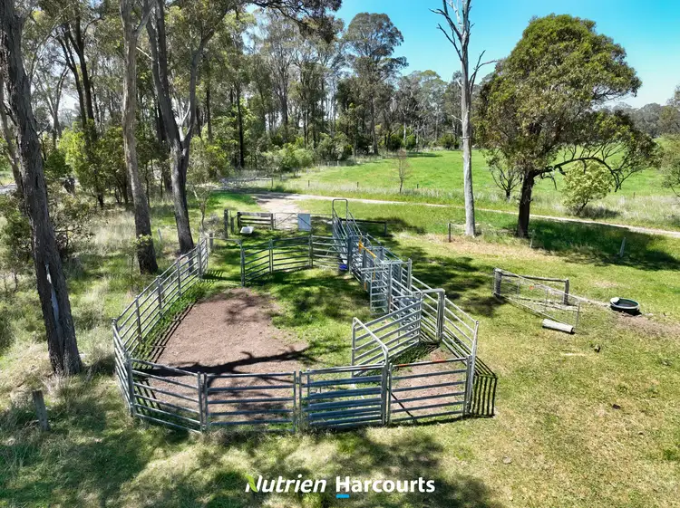 Second view of Homely rural property listing, 111 Old Walhalla Road, Toongabbie VIC 3856