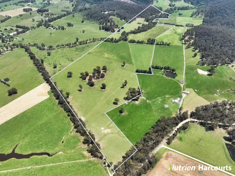 Third view of Homely rural property listing, 111 Old Walhalla Road, Toongabbie VIC 3856