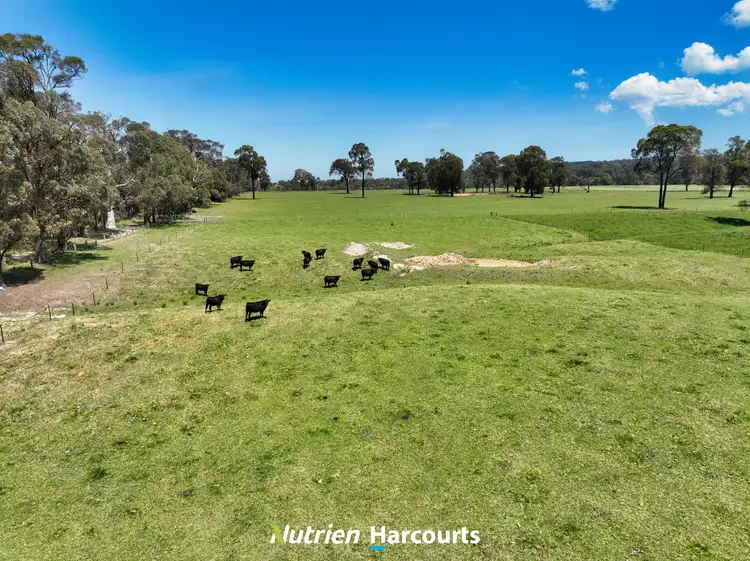 Fourth view of Homely rural property listing, 111 Old Walhalla Road, Toongabbie VIC 3856