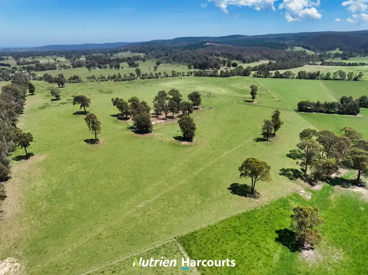 Fifth view of Homely rural property listing, 111 Old Walhalla Road, Toongabbie VIC 3856
