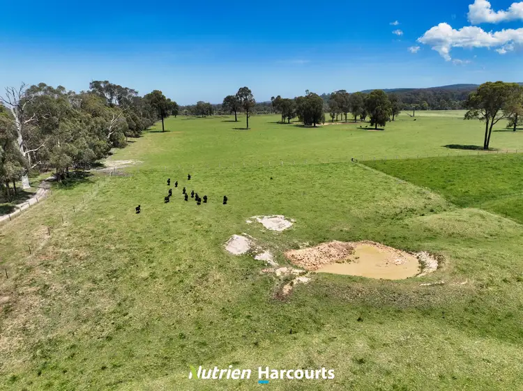 Sixth view of Homely rural property listing, 111 Old Walhalla Road, Toongabbie VIC 3856