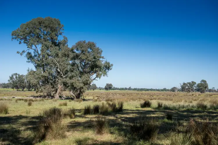 Sixth view of Homely rural property listing, Lots 70A, 71A and 71 Kilfeera Road, Lurg VIC 3673