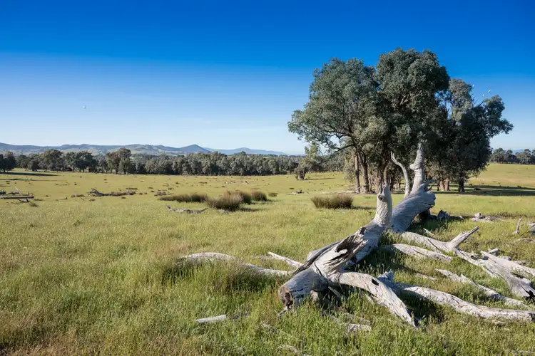 Third view of Homely rural property listing, CA37A and 37B Hartridge Road, Molyullah VIC 3673