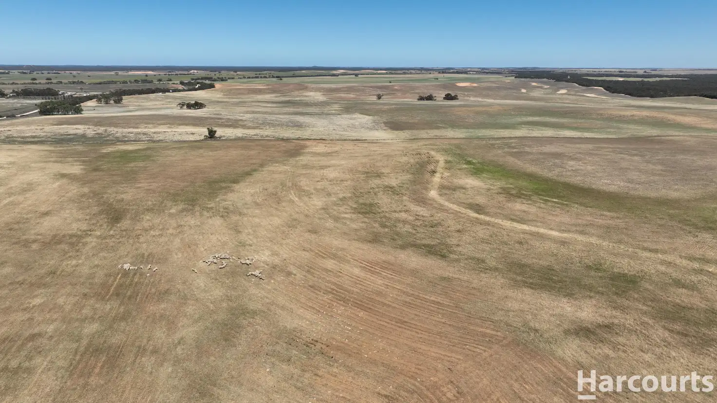 Main view of Homely rural property listing, . Yarto - Speed Road, Patchewollock VIC 3491