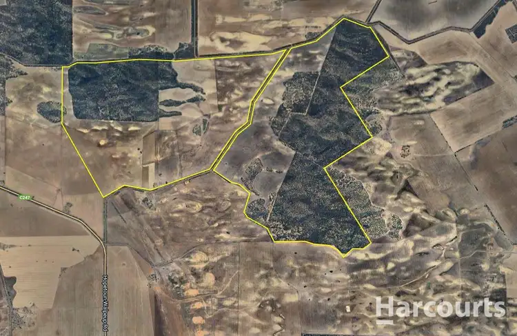 Fourth view of Homely rural property listing, . Yarto - Speed Road, Patchewollock VIC 3491