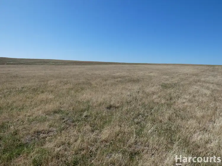 Fifth view of Homely rural property listing, . Yarto - Speed Road, Patchewollock VIC 3491