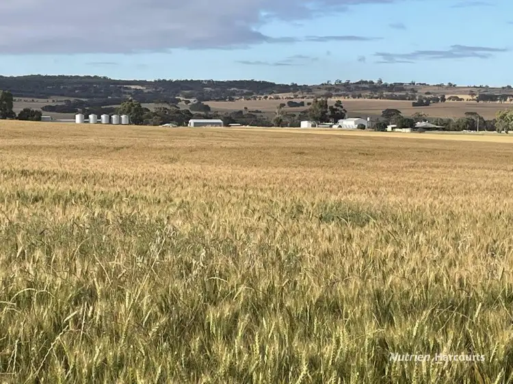 246 Hastings Road, East Pingelly WA 6308