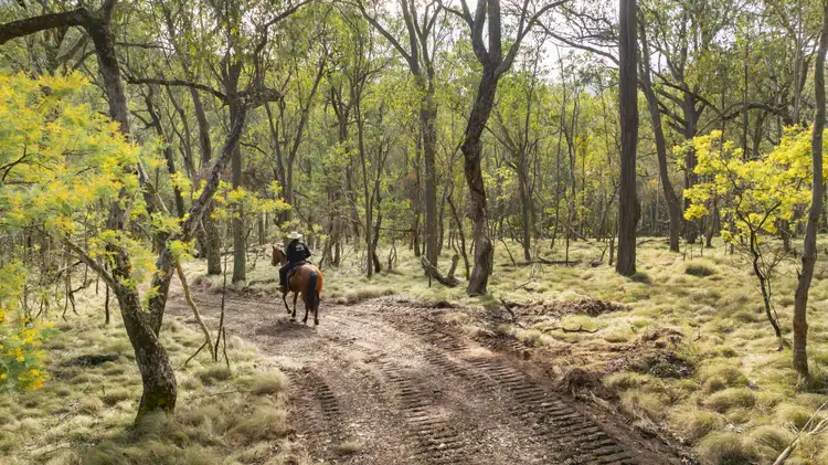 Fifth view of Homely rural property listing, . Firebrace Track, Bullioh VIC 3700
