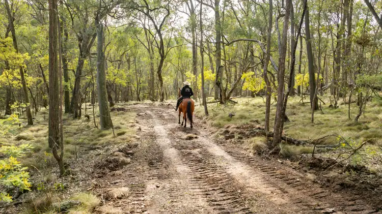 Seventh view of Homely rural property listing, . Firebrace Track, Bullioh VIC 3700