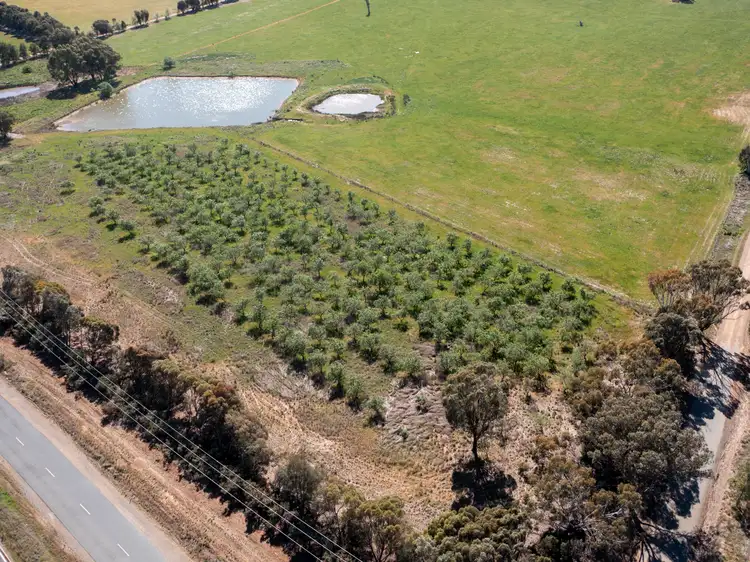 Third view of Homely rural property listing, 00 Cluggs Road, Springhurst VIC 3682