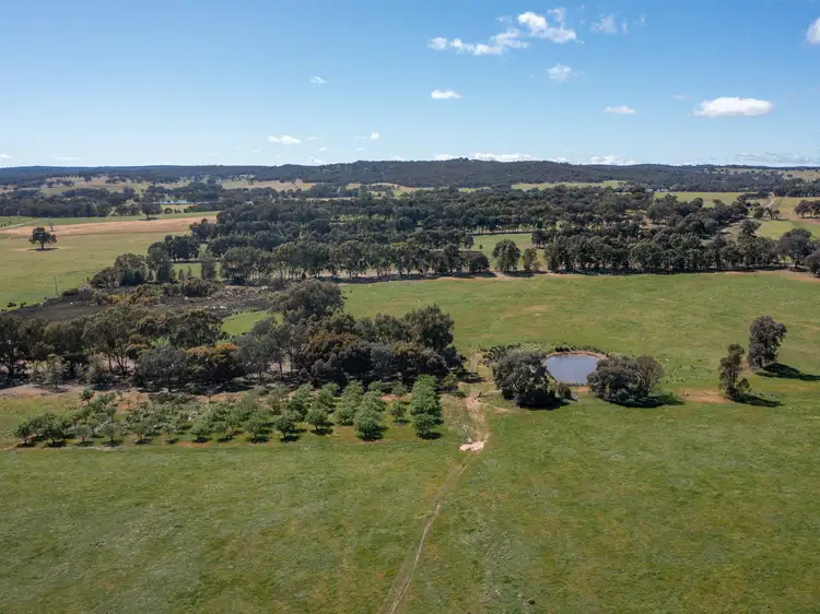 Fifth view of Homely rural property listing, 00 Cluggs Road, Springhurst VIC 3682