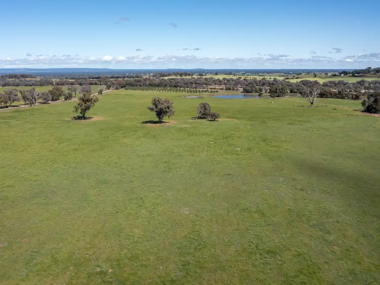 Seventh view of Homely rural property listing, 00 Cluggs Road, Springhurst VIC 3682
