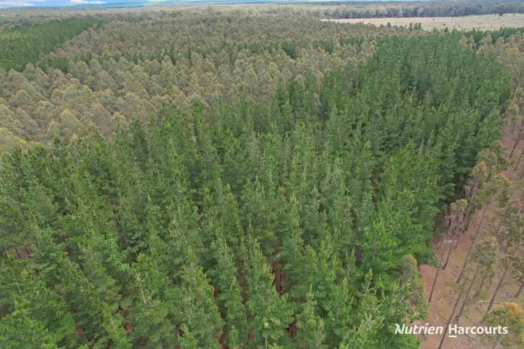 Seventh view of Homely rural property listing, CA 30 South Gippsland Highway, Woodside VIC 3874