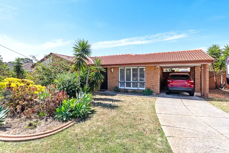 Fourth view of Homely house listing, 33 Adelaide Circle, Craigie WA 6025